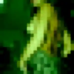 Photo de Armelle à Plouarzel (36 ans) - plan cul discret