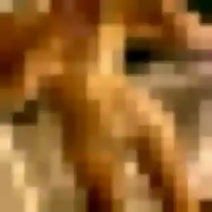 Photo sexy de Laura, 37 ans à Poleymieux-au-Mont-d'Or - plan discret