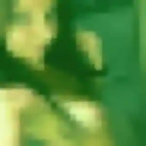 Photo de Brigitte à Pommeuse (34 ans) - plan cul sans inscription