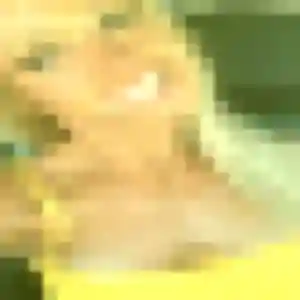 Harmony (37 ans) à Pompertuzat cherche une rencontre aujourd'hui