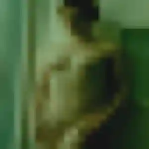 Emma, fille de 23 ans cherche plan cul à Ponchon