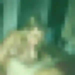 Elvire, 24 ans, en ligne à Pont-d'Ouilly pour une rencontre coquine