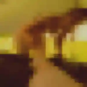 Siham (44 ans) à Pont-du-Casse cherche un plan cul ce soir