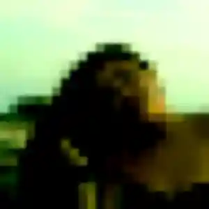 Photo de Graziella à Pournoy-la-Grasse (27 ans) - plan cul anonyme