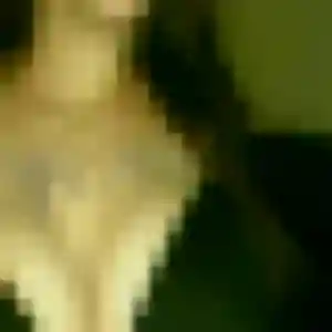 Jolie Delice, 22 ans à Préchacq-les-Bains - voir sa photo