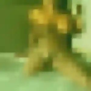 Photo privée de Clementine, 41 ans à Puissalicon - rencontre sans lendemain