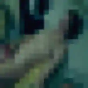 Elena, 39 ans, dispo pour plan cul à Pujo-le-Plan