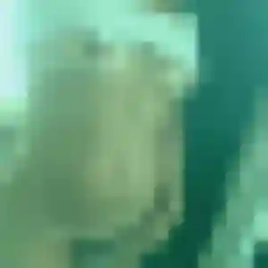 Profil de Barbara à Pulnoy (37 ans) - plan cul gratuit