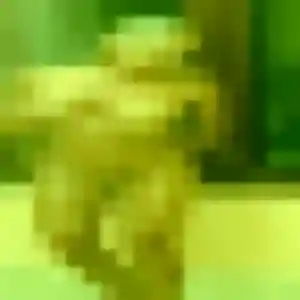 Photo privée de Ursule, 32 ans à Rachecourt-sur-Marne - rencontre coquine