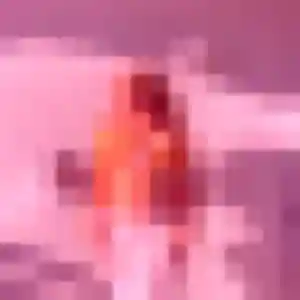 Eva, femme de 31 ans veut plan cul à Raizeux
