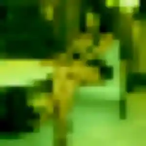 Coralie, 35 ans, en ligne à Rebreuve-Ranchicourt pour une rencontre coquine