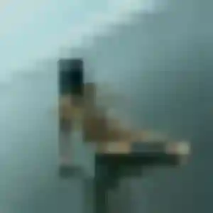 Contacte Clemence, 42 ans à Rieupeyroux en t'inscrivant