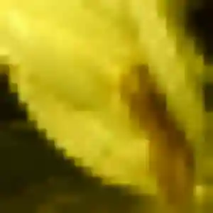 Photo de Yasmine à Rochefort-Samson (36 ans) - plan cul anonyme