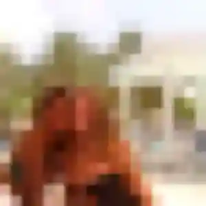 Albane, fille de 43 ans cherche plan cul à Rochefort