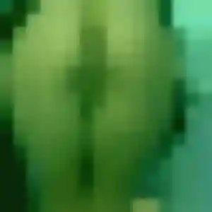 Photo exclusive de Thais, 28 ans à Rosnoën - plan discret
