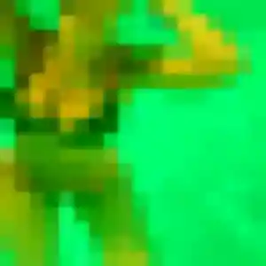 Yasmina, 27 ans, dispo pour plan cul à Rosny-sous-Bois