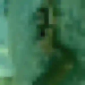 Bianca, 22 ans, dispo pour plan cul à Rospez