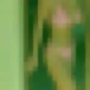 Photo perso de Naomi, 30 ans à Rougemont-le-Château - plan discret