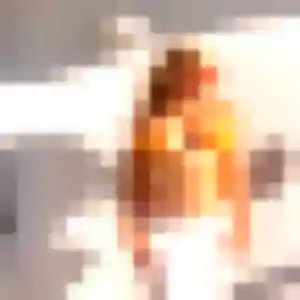 Photo de Cindy à Rouillon (23 ans) - plan cul anonyme