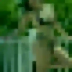 Zina, 27 ans, disponible à Ruaudin pour une rencontre coquine