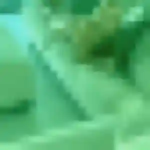 Photo de Marine à Rumigny (41 ans) - plan cul discret