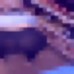 Solange (34 ans) à Rumigny cherche une rencontre rapidement