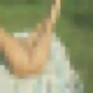 Nadine, 39 ans, disponible à Saint-Agnan pour une rencontre coquine