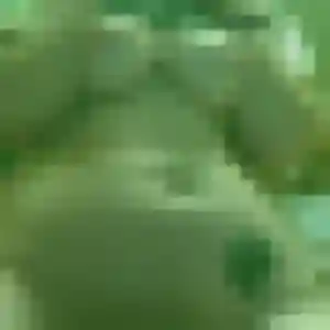 Profil de Therese à Saint-André-lez-Lille (41 ans) - plan cul discret