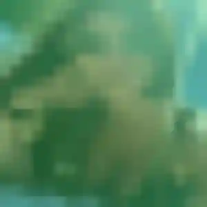 Photo de Yvonne à Saint-Aubin (44 ans) - plan cul gratuit