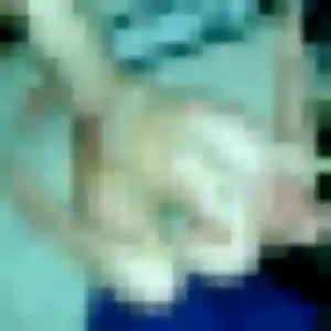Photo privée de Ilona, 41 ans à Saint-Benoît-de-Carmaux - rencontre sans lendemain