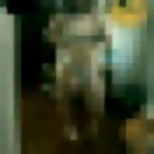 Profil de Lucie à Saint-Bonnet-du-Gard (37 ans) - plan cul gratuit