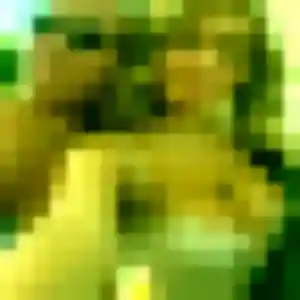Photo exclusive de Typhaine, 33 ans à Saint-Clément - rencontre coquine