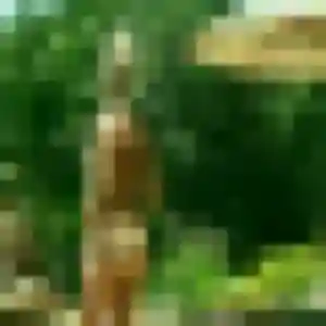 Therese de Saint-Cyprien, 43 ans - plan cul sans prise de tête