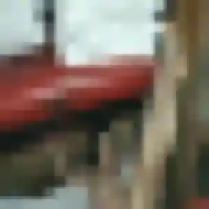 Profil de Jacqueline à Saint-Cyr-en-Val (26 ans) - plan cul anonyme