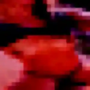 Photo exclusive de Zoe, 28 ans à Saint-Didier-sur-Chalaronne - rencontre coquine