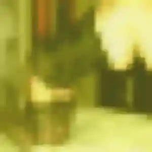 Juliette, femme de 36 ans cherche plan cul à Saint-Étienne-d'Orthe