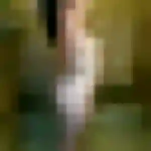 Rania, 37 ans, disponible à Saint-Florent pour une rencontre coquine