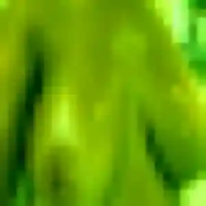 Profil de Svetlana à Saint-François (44 ans) - plan cul anonyme