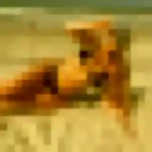 Vera, 44 ans, dispo pour plan cul à Saint-Fuscien