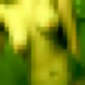 Marie-Christine, 28 ans, connectée à Saint-Genest-Malifaux pour une rencontre coquine
