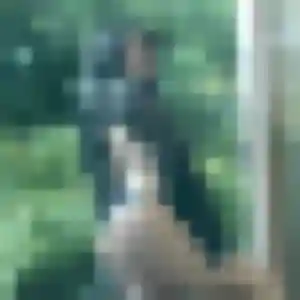 Priscilla, 35 ans, cherche un plan cul à Saint-Genis-Laval