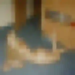 Catherine, femme de 39 ans cherche plan cul à Saint-Georges-de-Pointindoux