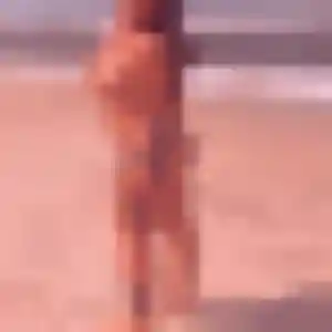 Photo sexy de Yannick, 40 ans à Saint-Hilaire-Cottes - rencontre sans lendemain