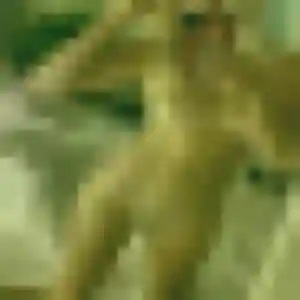 Photo perso de Odette, 38 ans à Saint-Jacut-de-la-Mer - rencontre coquine