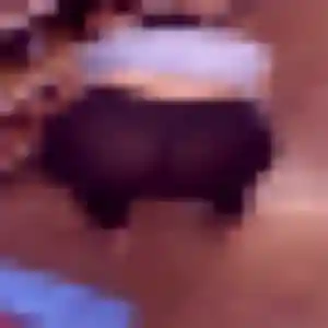 Lise, femme de 37 ans cherche plan cul à Saint-Jouvent
