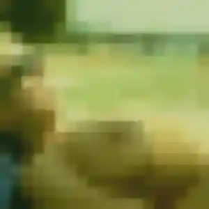 Olympe, 45 ans, dispo pour plan cul à Saint-Laurent-du-Maroni