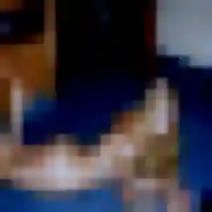 Elise, 26 ans, disponible à Saint-Laurent-du-Var pour une rencontre coquine