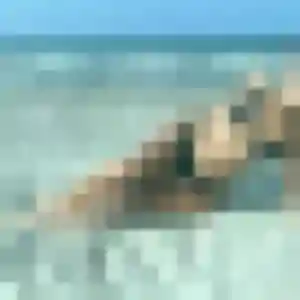 Rencontre Capucine, 34 ans à Saint-Léonard-en-Beauce en privé