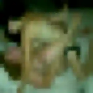 Photo de Agnes à Saint-Lormel (42 ans) - plan cul anonyme