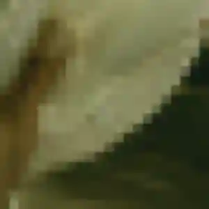 Photo de Emilie à Saint-Martin-aux-Buneaux (34 ans) - plan cul discret